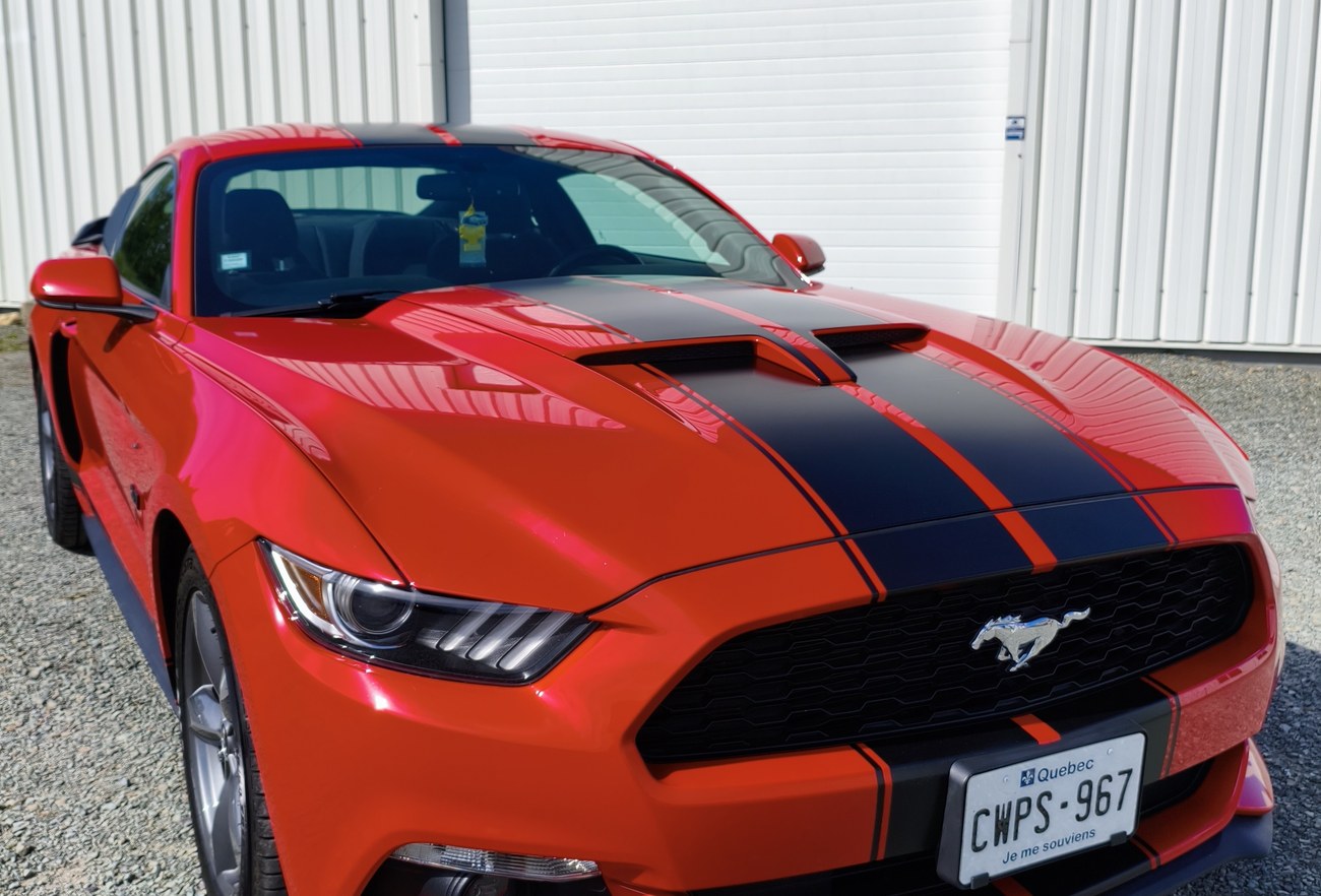 Ford Mustang bandes rouge et noir — détail capot et calandre